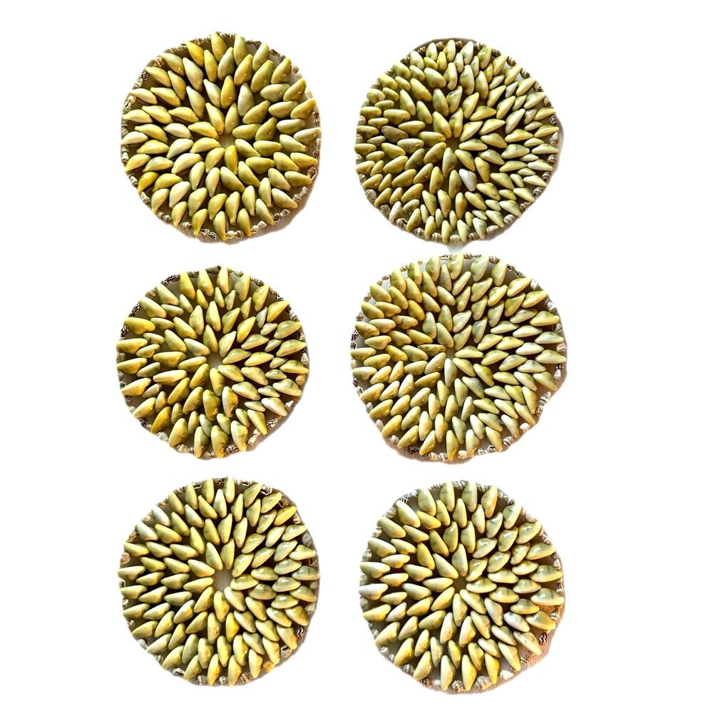 Set of Six Vintage Beige Sea Shell 5" to 6" Tiki Bar Trivet Coasters
